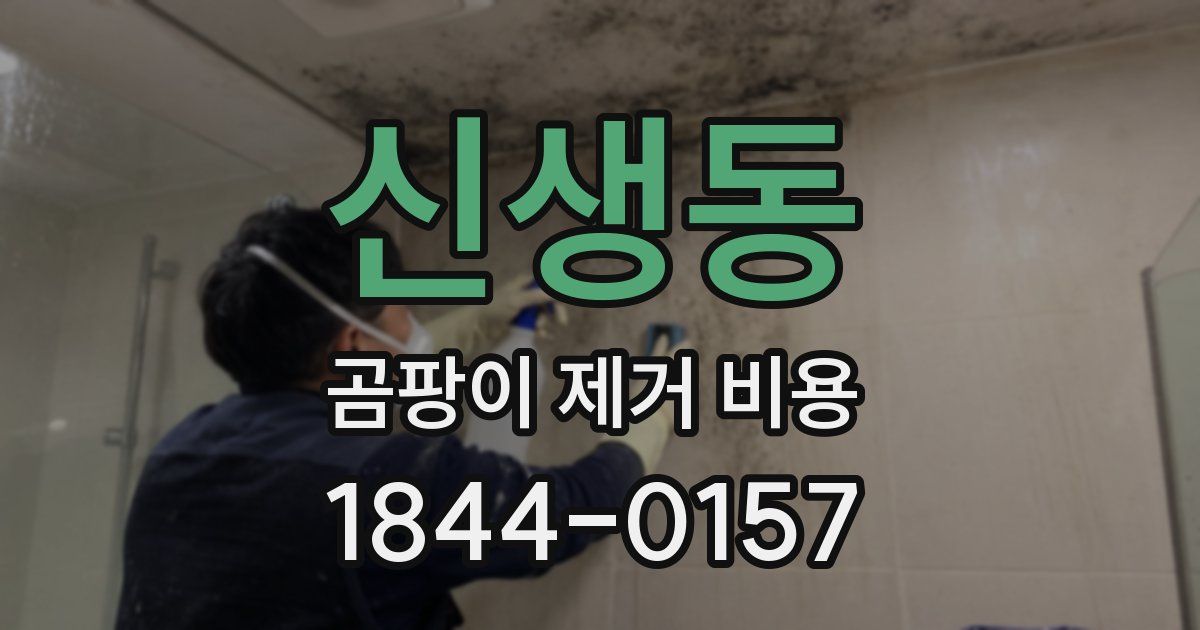 신생동 곰팡이 제거 비용
