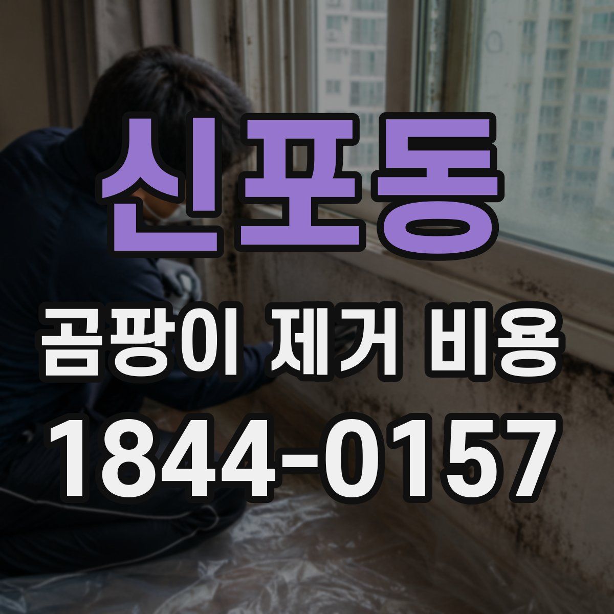 신포동 곰팡이 제거 비용
