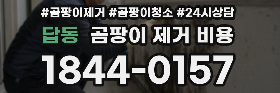 답동 곰팡이 제거 비용