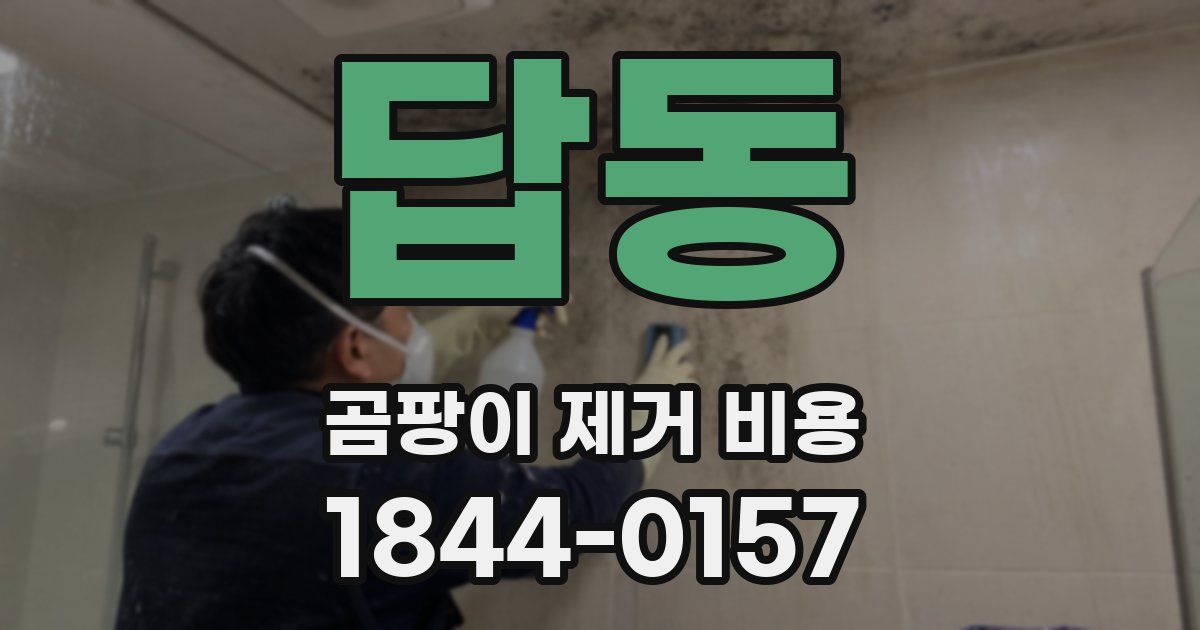 답동 곰팡이 제거 비용