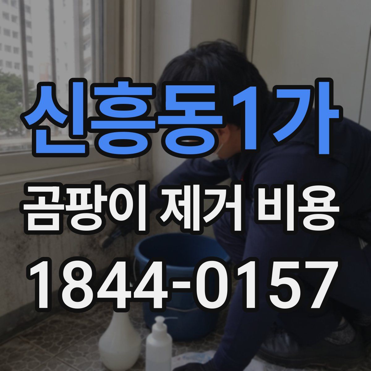 신흥동1가 곰팡이 제거 비용