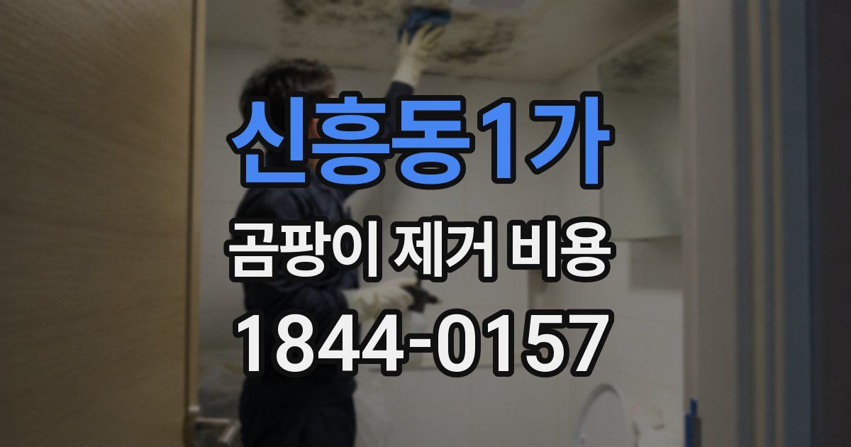 신흥동1가 곰팡이 제거 비용