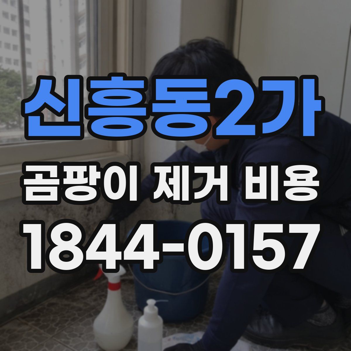 신흥동2가 곰팡이 제거 비용
