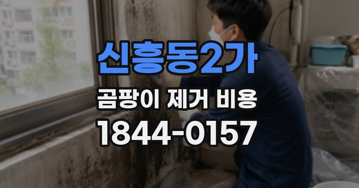 신흥동2가 곰팡이 제거 비용