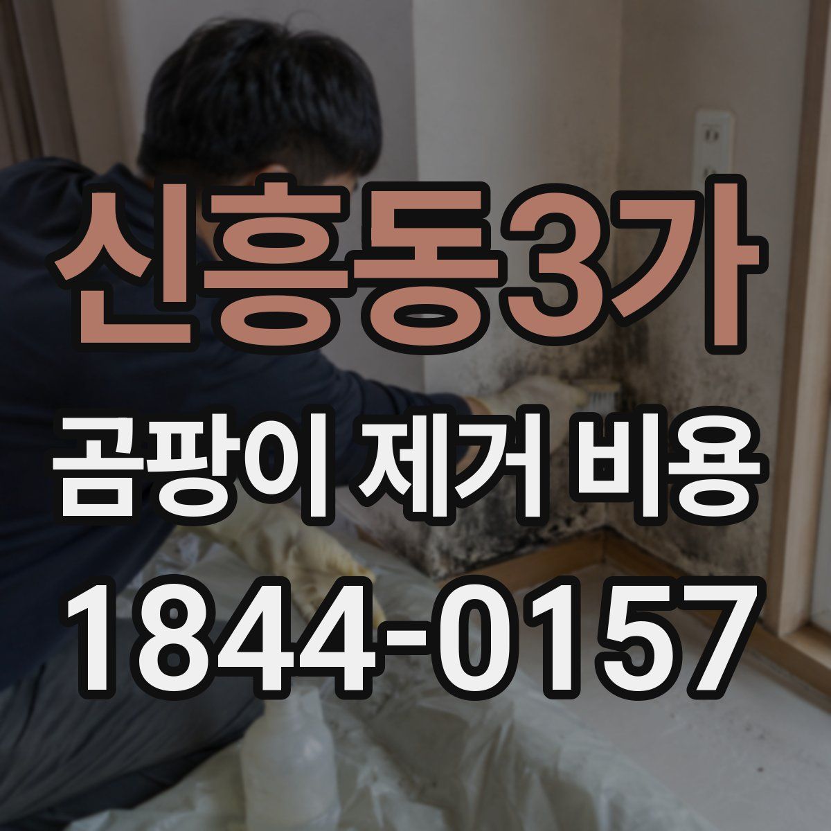 신흥동3가 곰팡이 제거 비용