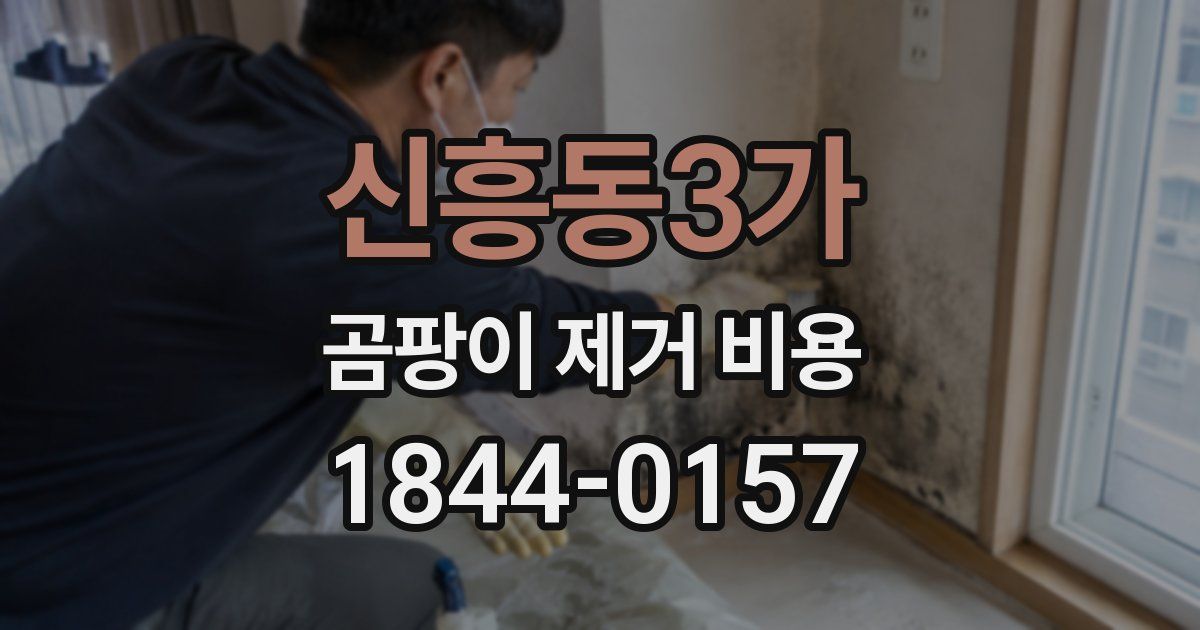 신흥동3가 곰팡이 제거 비용