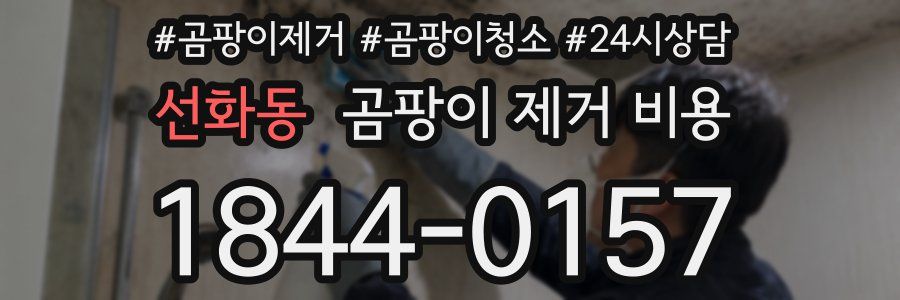 선화동 곰팡이 제거 비용