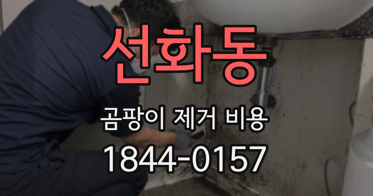 선화동 곰팡이 제거 비용