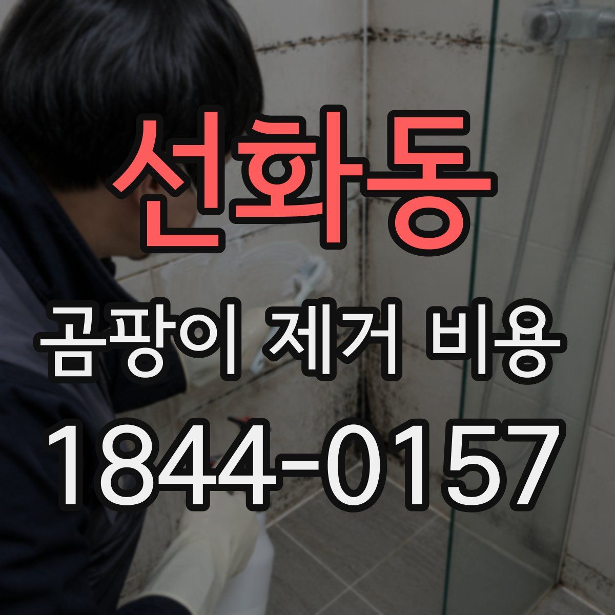 선화동 곰팡이 제거 비용