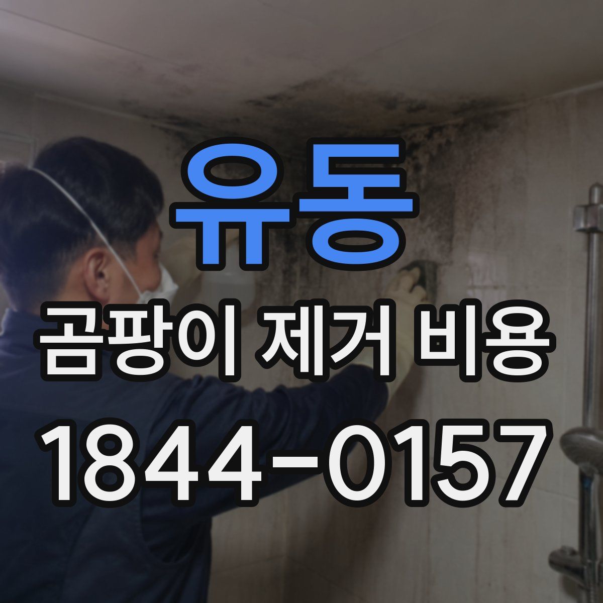 유동 곰팡이 제거 비용