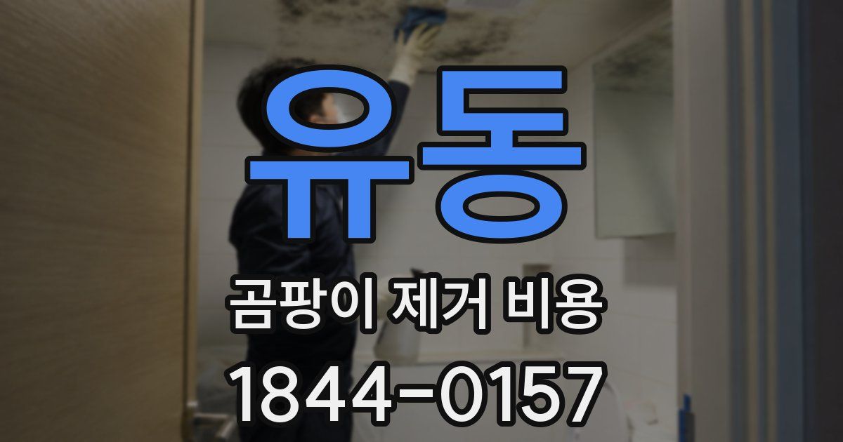 유동 곰팡이 제거 비용