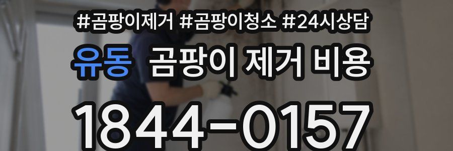 유동 곰팡이 제거 비용
