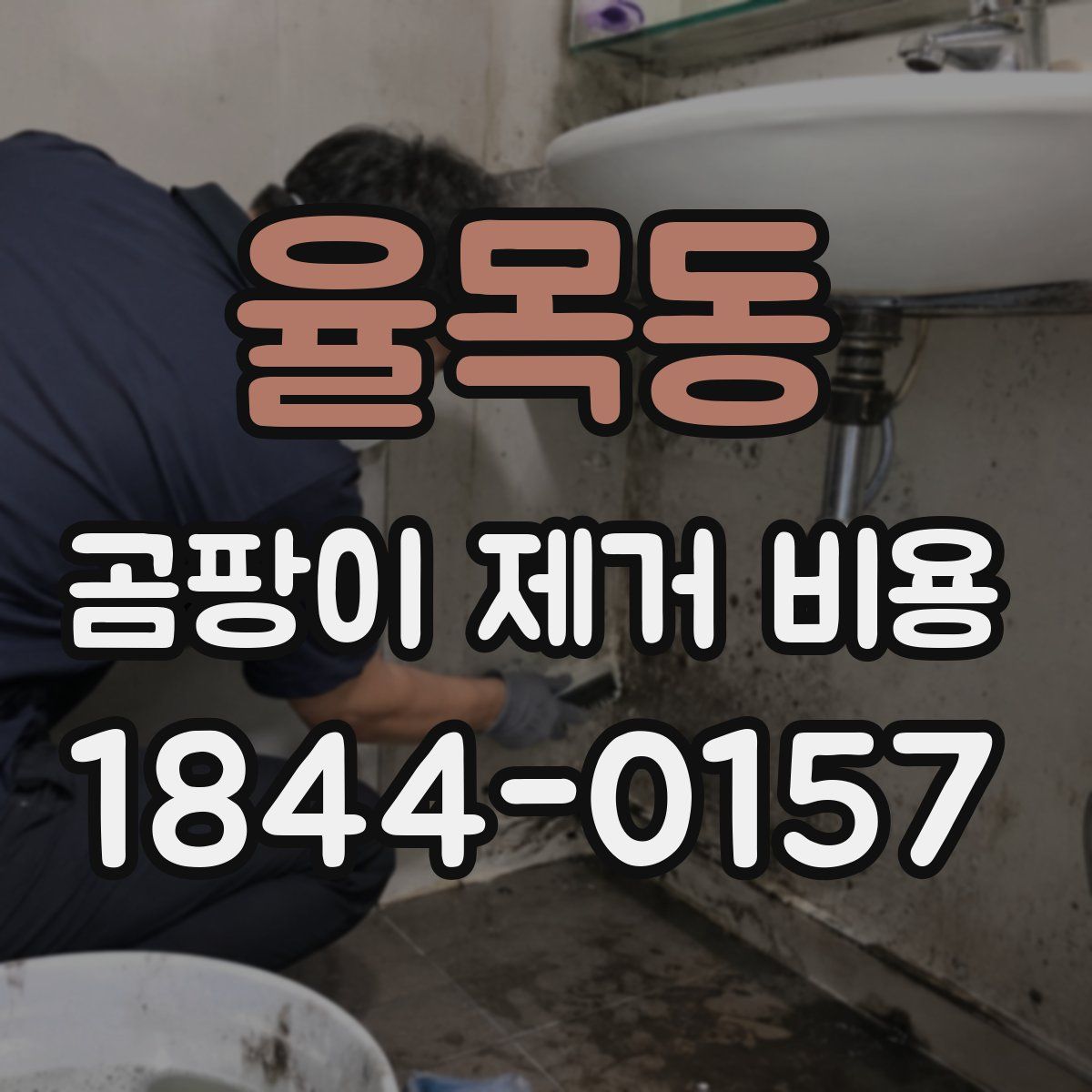 율목동 곰팡이 제거 비용