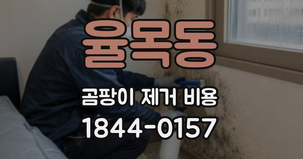 율목동 곰팡이 제거 비용