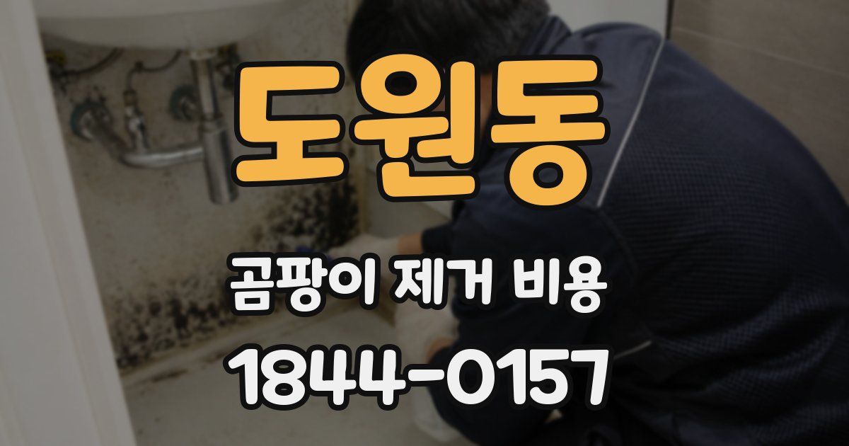도원동 곰팡이 제거 비용