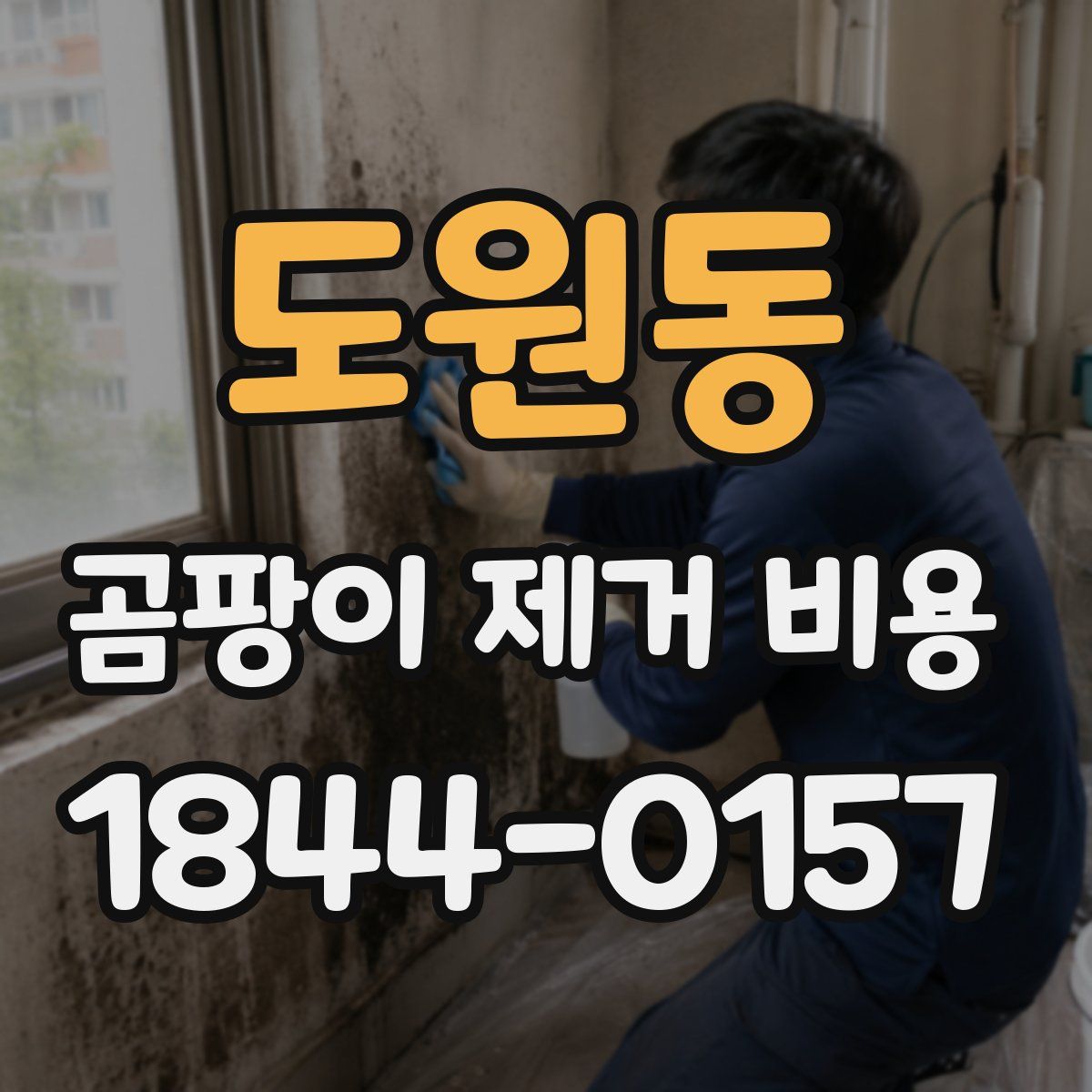 도원동 곰팡이 제거 비용