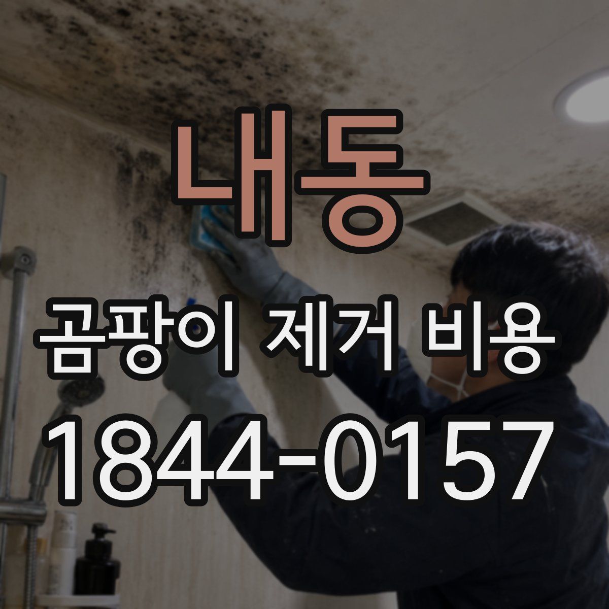 내동 곰팡이 제거 비용