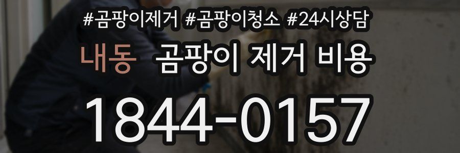 내동 곰팡이 제거 비용