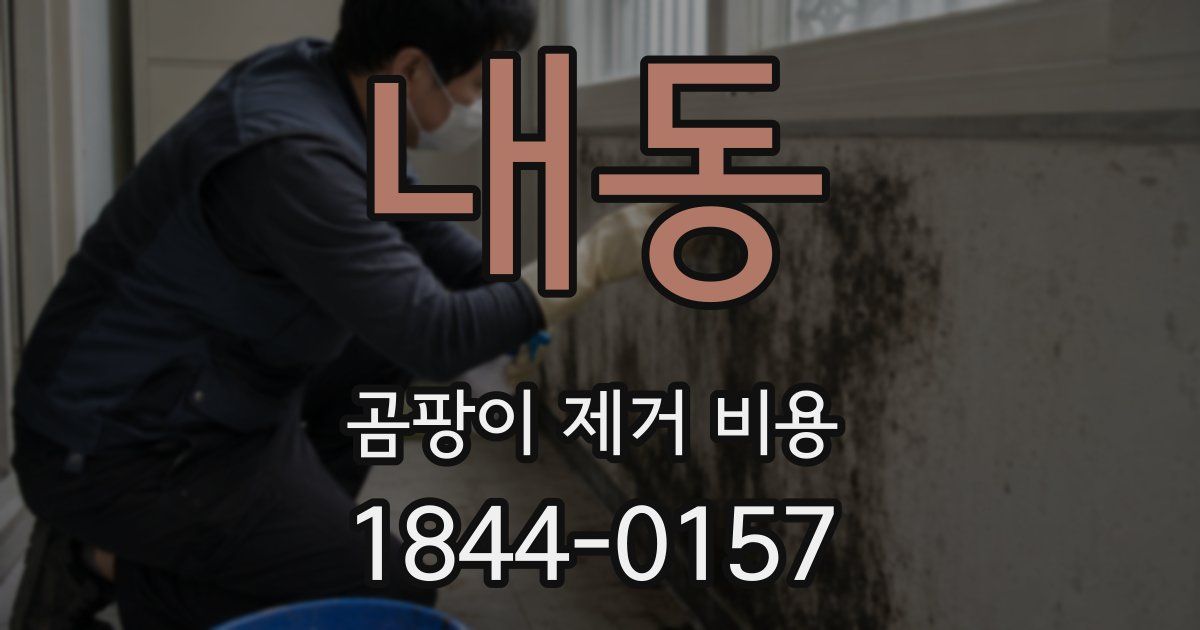 내동 곰팡이 제거 비용