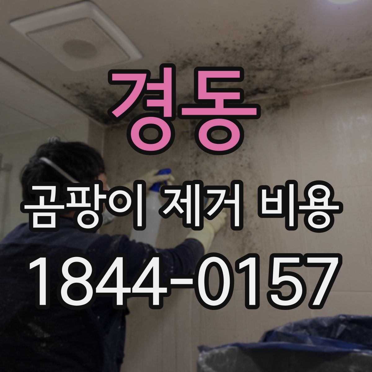 경동 곰팡이 제거 비용
