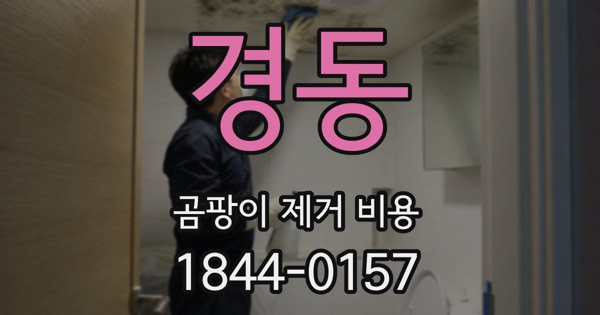 경동 곰팡이 제거 비용