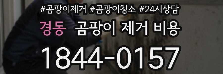 경동 곰팡이 제거 비용