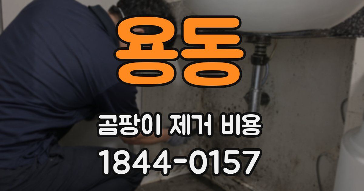 용동 곰팡이 제거 비용