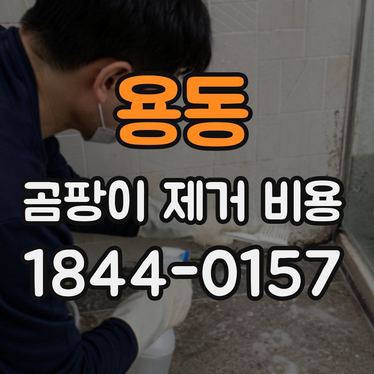 용동 곰팡이 제거 비용