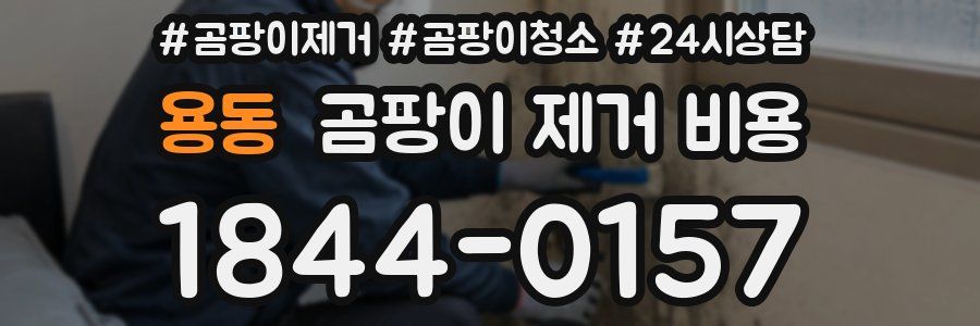 용동 곰팡이 제거 비용
