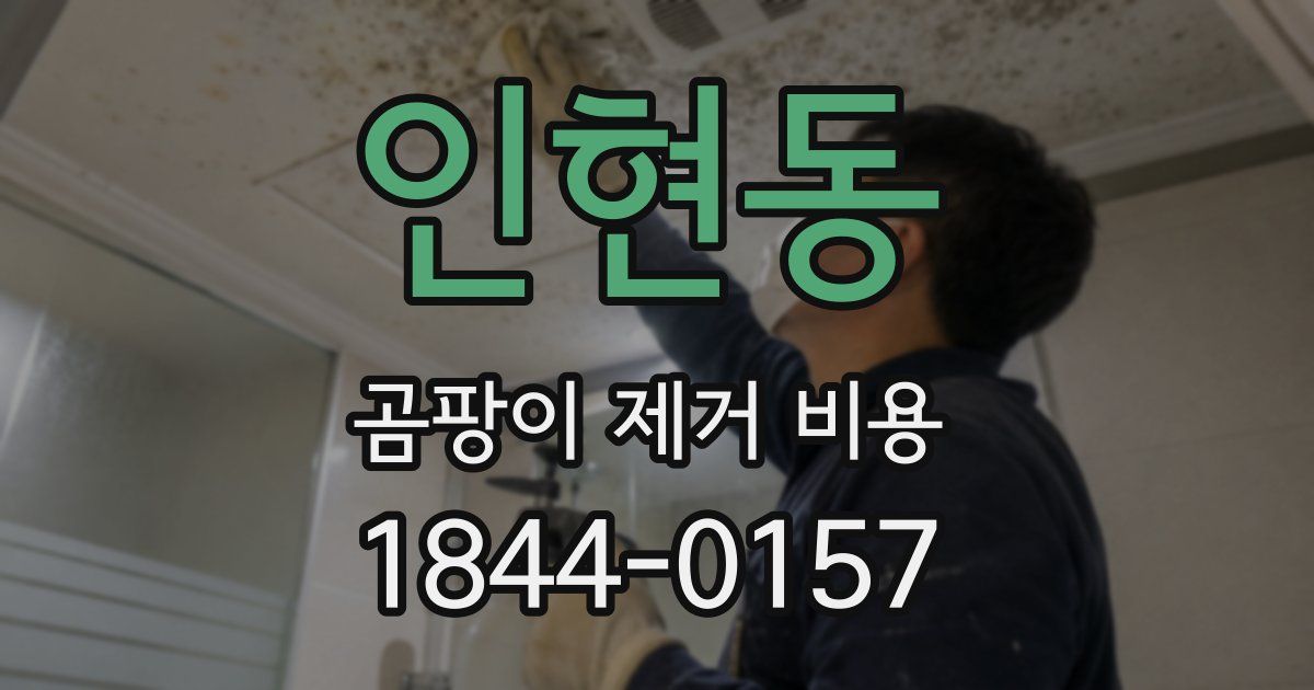 인현동 곰팡이 제거 비용