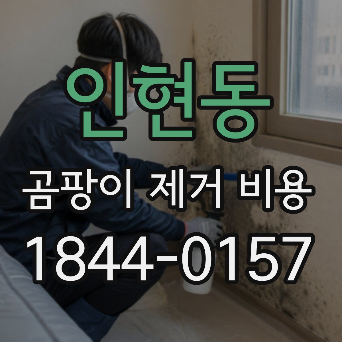 인현동 곰팡이 제거 비용