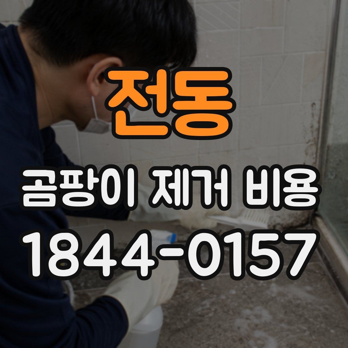 전동 곰팡이 제거 비용 방치 기간이 길수록 늘어나는 항목