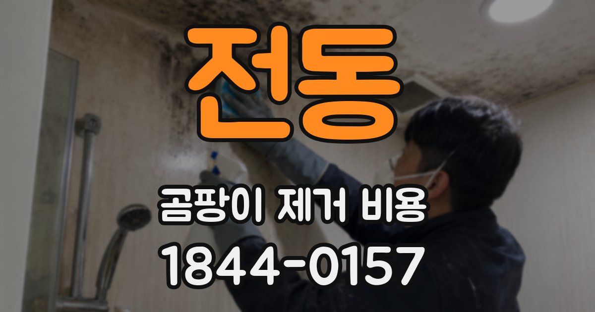 전동 곰팡이 제거 비용
