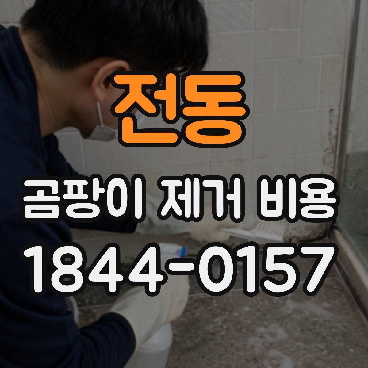 전동 곰팡이 제거 비용