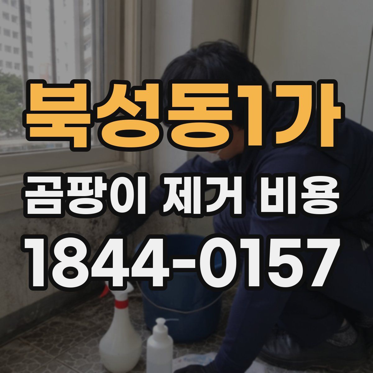 북성동1가 곰팡이 제거 비용