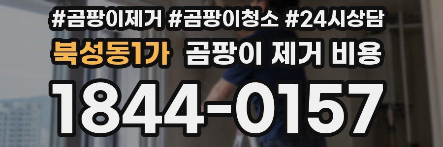 북성동1가 곰팡이 제거 비용