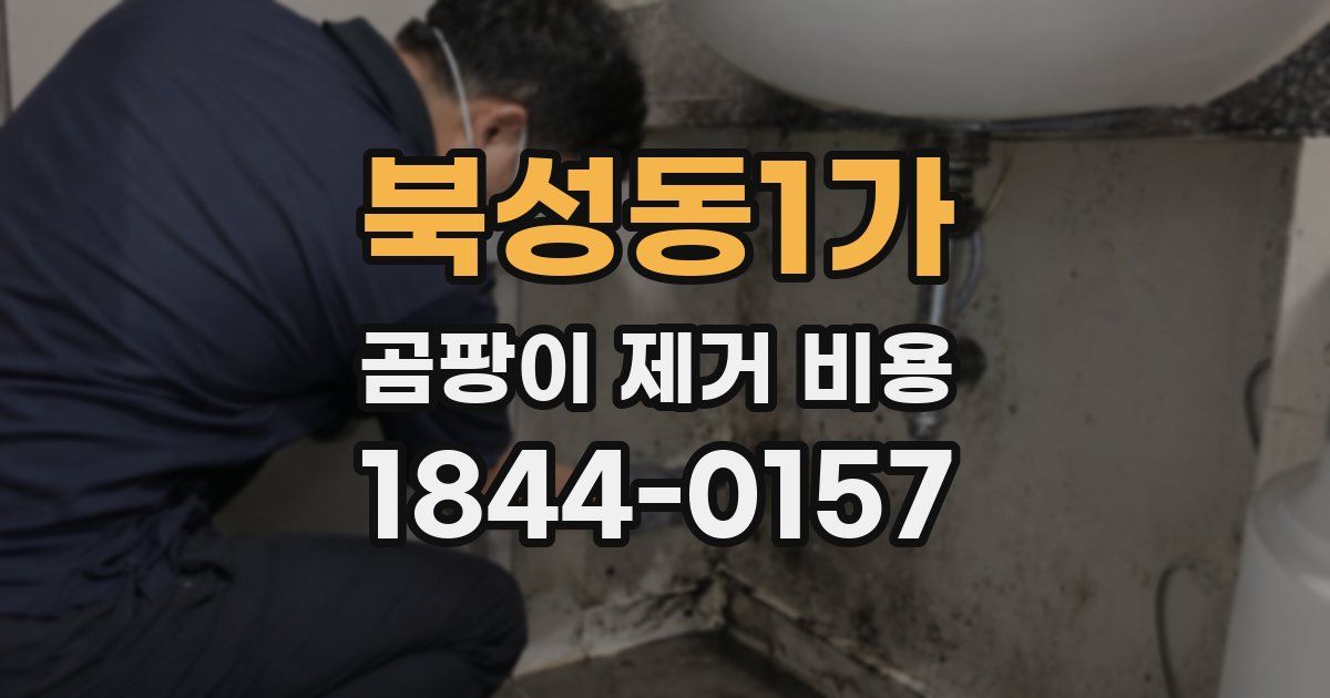 북성동1가 곰팡이 제거 비용