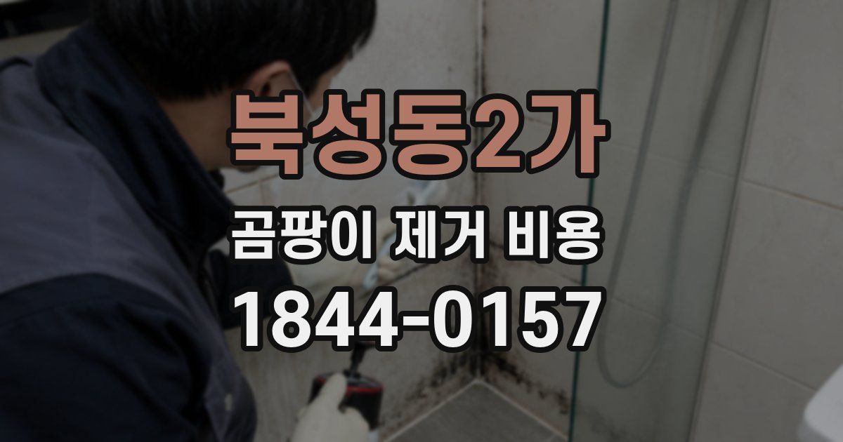북성동2가 곰팡이 제거 비용