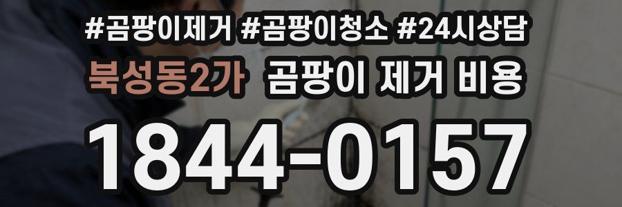 북성동2가 곰팡이 제거 비용