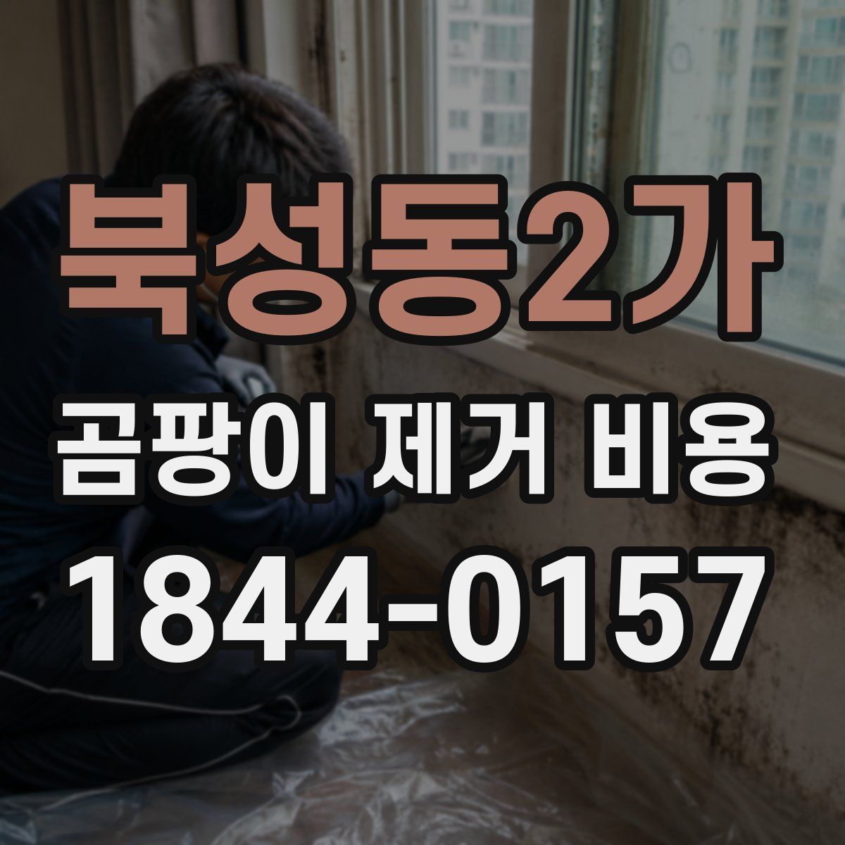 북성동2가 곰팡이 제거 비용