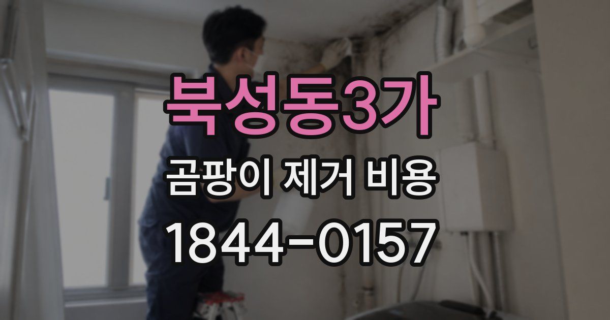 북성동3가 곰팡이 제거 비용
