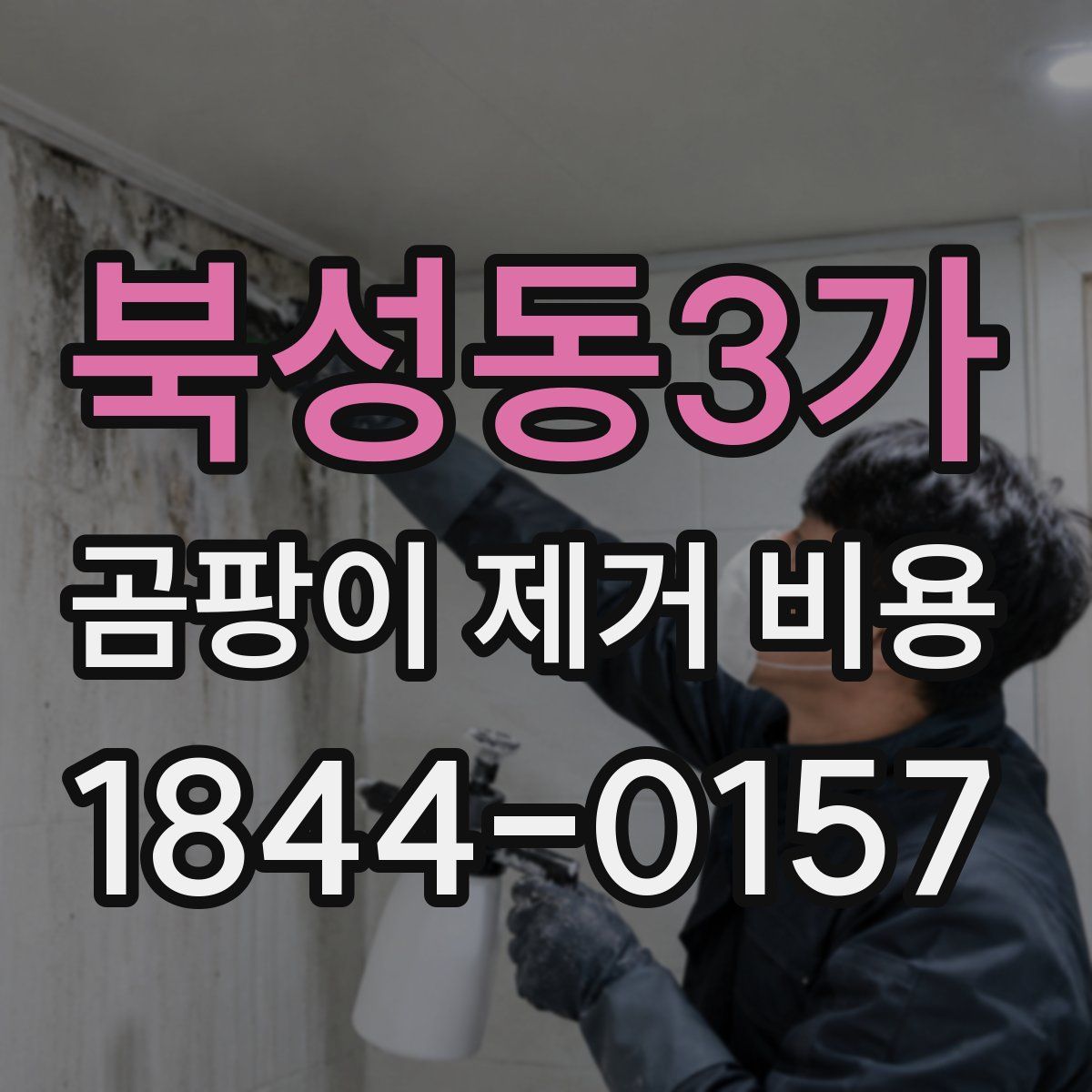 북성동3가 곰팡이 제거 비용
