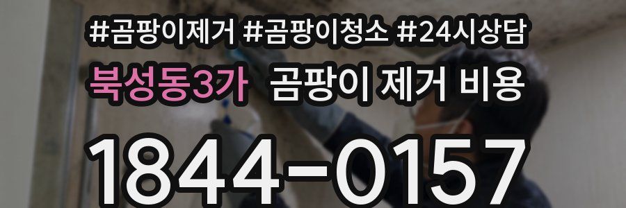 북성동3가 곰팡이 제거 비용