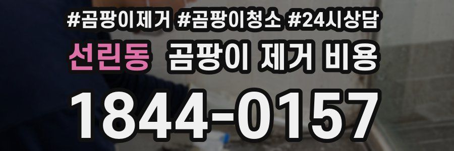 선린동 곰팡이 제거 비용