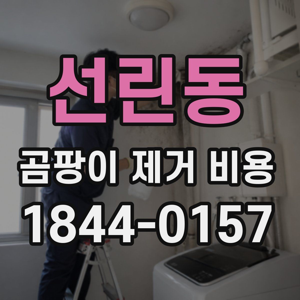 선린동 곰팡이 제거 비용