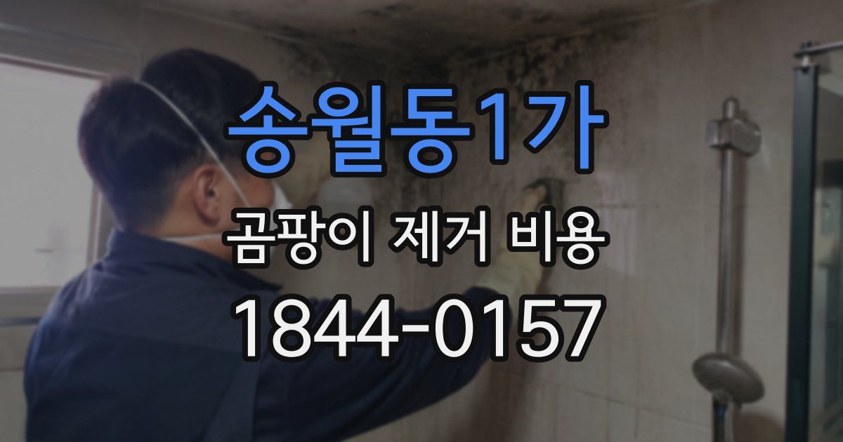 송월동1가 곰팡이 제거 비용