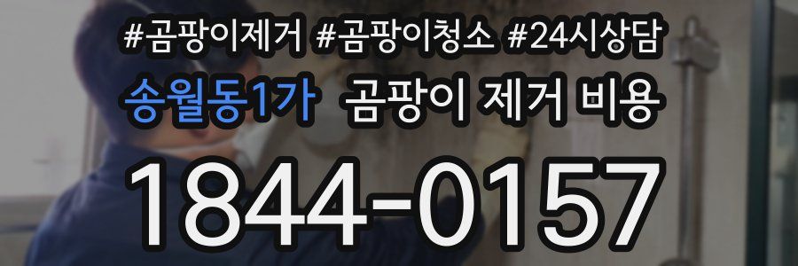 송월동1가 곰팡이 제거 비용