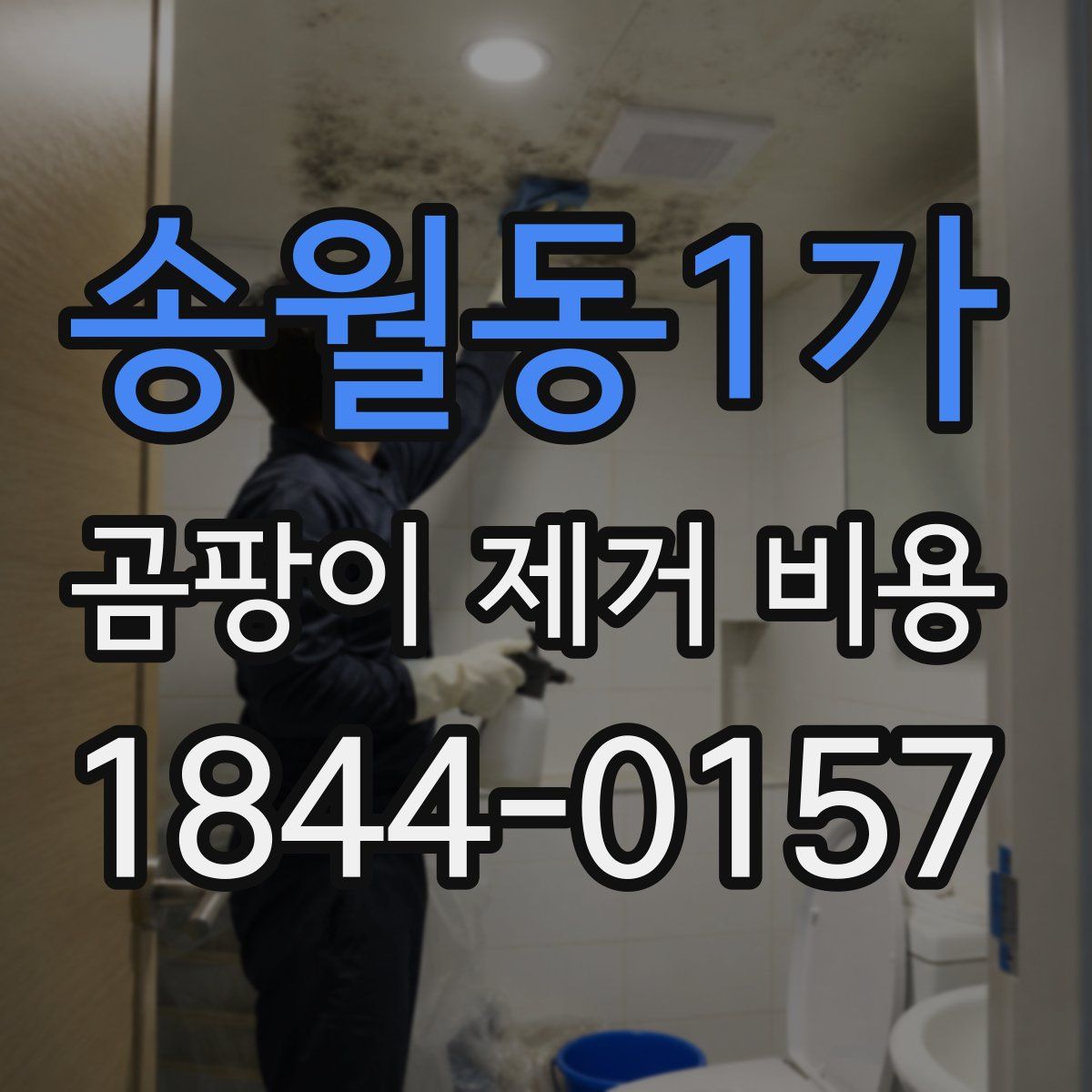 송월동1가 곰팡이 제거 비용