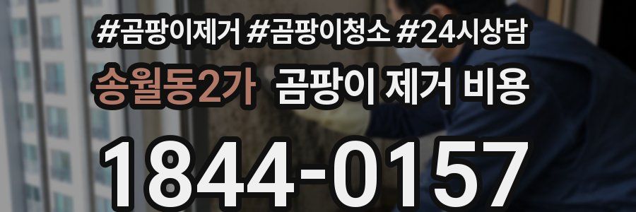 송월동2가 곰팡이 제거 비용