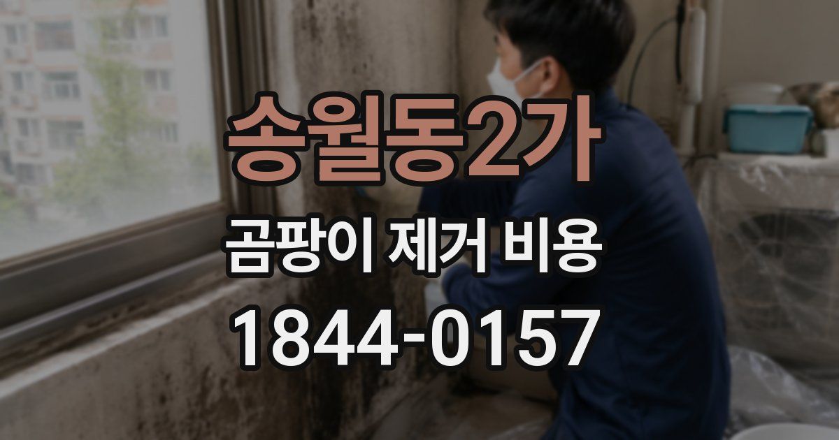 송월동2가 곰팡이 제거 비용